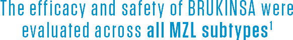Now approved for patients with R/R marginal zone lymphoma (MZL)